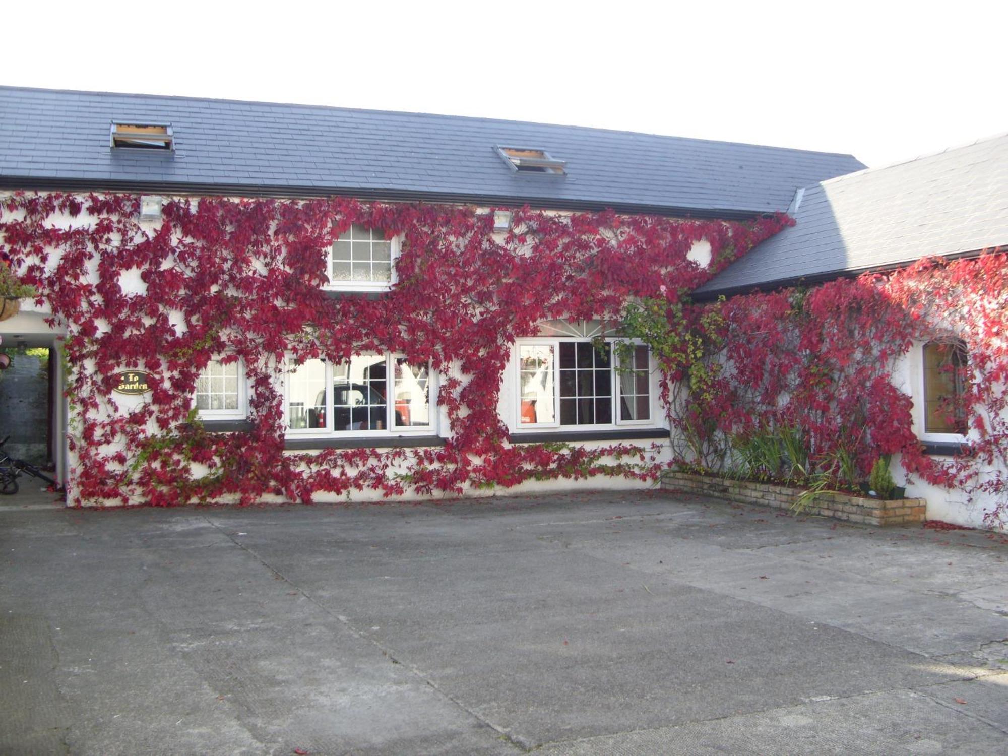 Townsend House Guest House Birr Eksteriør bilde